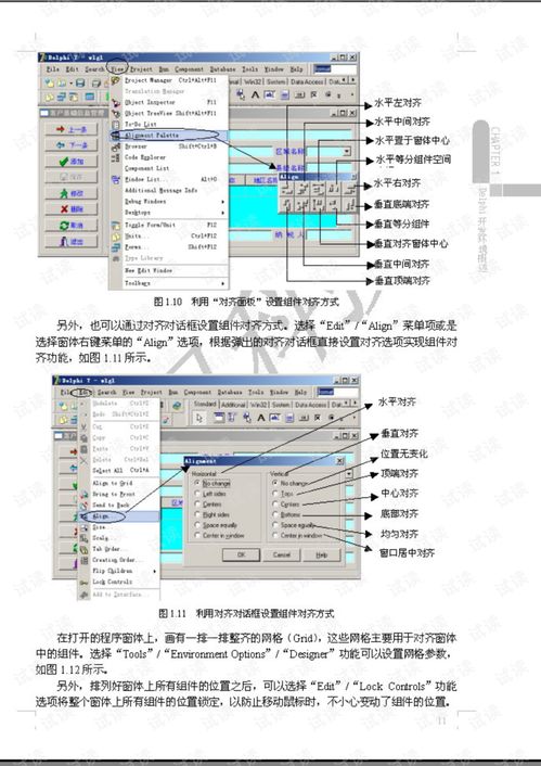 delphi數(shù)據(jù)庫系統(tǒng)開發(fā)完全手冊