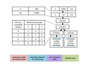 存儲1分鐘聲音花10萬美元,這種存儲技術真的有未來嗎