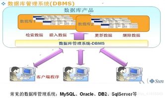 my sql數(shù)據(jù)庫概念