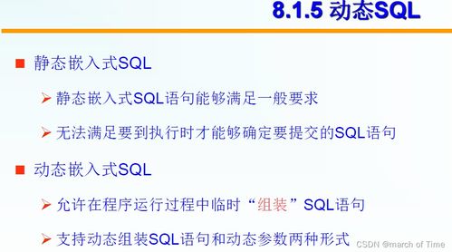 數據庫系統第八章 數據庫編程復習
