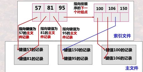 數(shù)據(jù)庫(kù)系統(tǒng) 索引